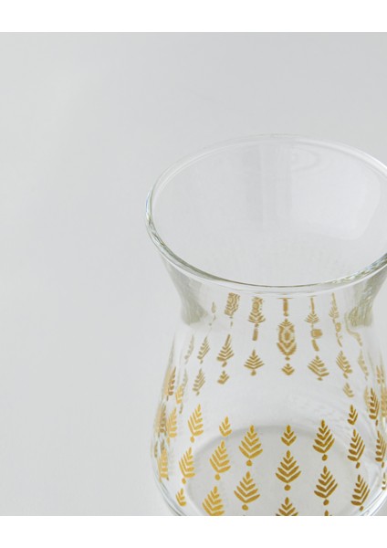 Gold Leaves Cam 6'lı Çay Bardağı 132 ml Şeffaf-Gold fırsatları