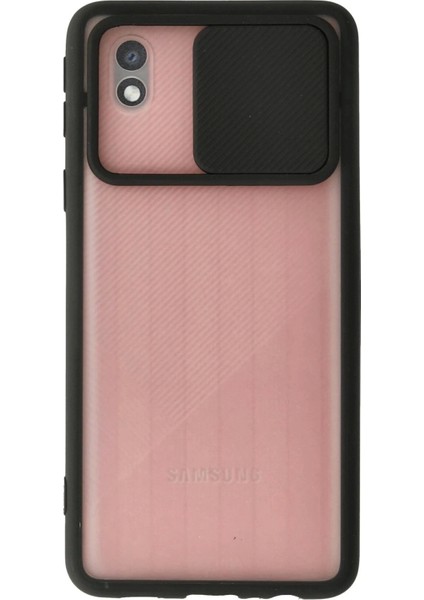 Newface Samsung Galaxy A01 Core Kılıf Palm Buzlu Kamera Sürgülü Silikon - Siyah