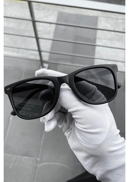 Wayfarer Klasik Mat Siyah Erkek Güneş Gözlüğü fiyatları
