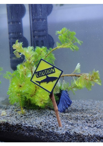 Caution Akvaryum Dekor fiyatları