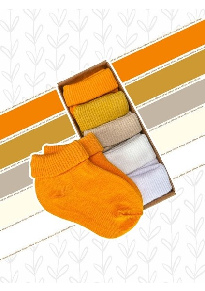 Unisex Kutulu Safari Renkler Organik 5 Li Yıkanmış Yenidoğan ve Erkek Bebek Çorabı 0-2 Yaş