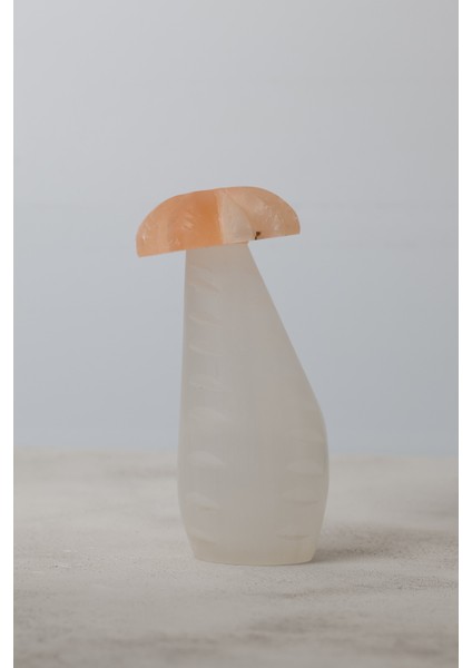 Selenit Doğal Taş Mantar Kule fiyatları