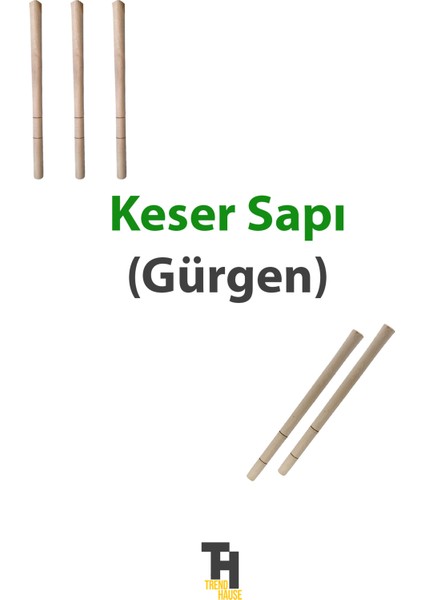 Keser Sapı Ahşap fiyatları