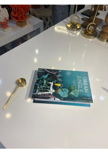 Turkuaz Dekoratif Kitap Kutu fiyatları