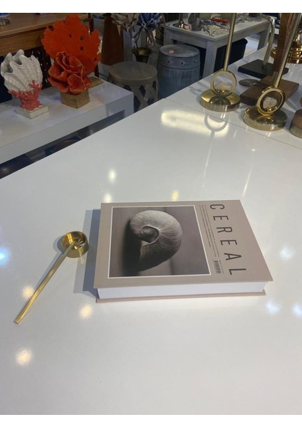 Krem Dekoratif Kitap Kutu fiyatları