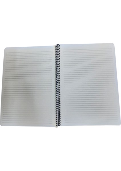 Flex A4 120 Yaprak Çizgili Spiralli Plastik Neon Kapak Defte modelleri