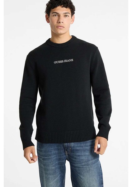 Erkek Bisiklet Yaka Logolu Pamuklu Triko - Siyah