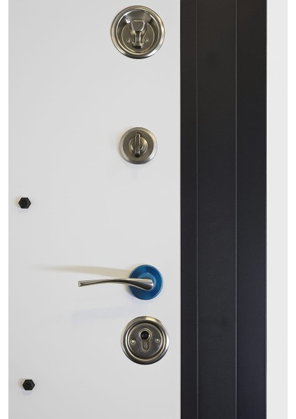 GUARDENT STEEL DOOR - Guardian Serisi GU-101 fırsatları