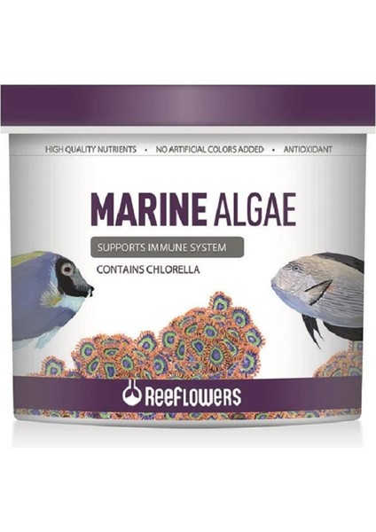 Marine Algae 100 gr Açık Balık Yemi
