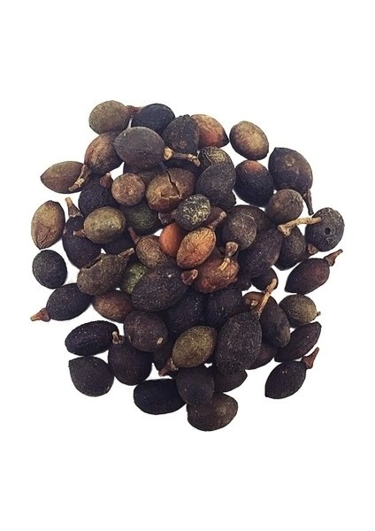 Dökme Tohumlar Defne Tohumu - 100 gr