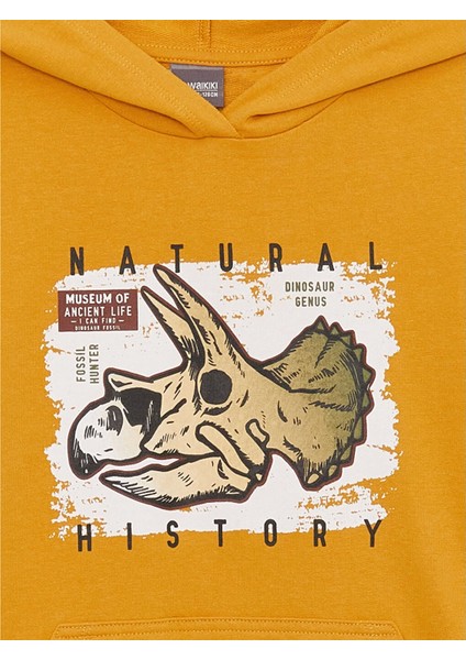 Lcw Kids Sarı Baskılı Uzun Kollu Erkek Çocuk Hoodie fiyatları