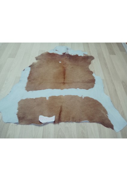 Doğal Işlenmemiş Hakiki Derisi Dana Postu Halı Yolluk modelleri