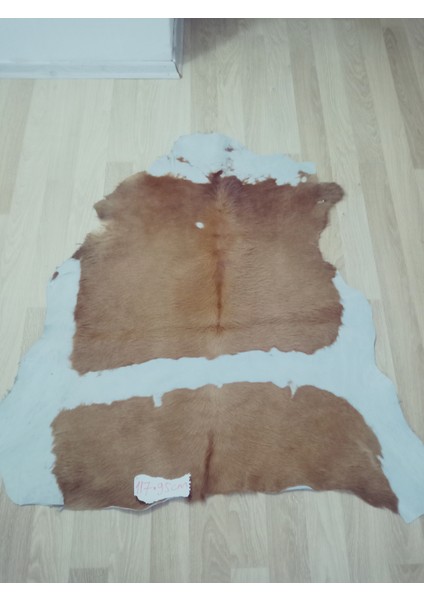 Doğal Işlenmemiş Hakiki Derisi Dana Postu Halı Yolluk fırsatları