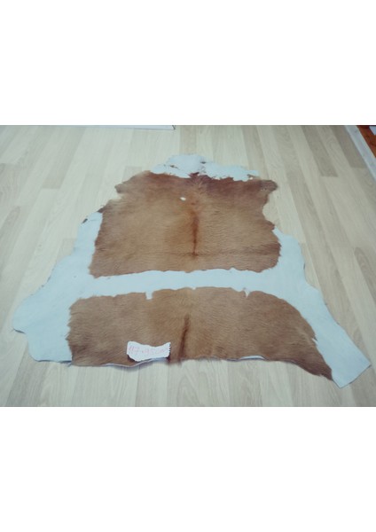 Doğal Işlenmemiş Hakiki Derisi Dana Postu Halı Yolluk