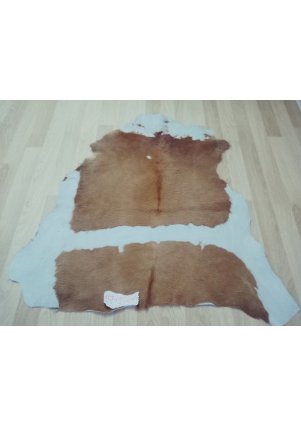 Doğal Işlenmemiş Hakiki Derisi Dana Postu Halı Yolluk