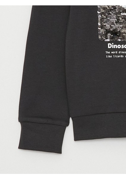 Lcw Kids Antrasit Bisiklet Yaka Çift Yönlü Payetli Uzun Kollu Erkek Çocuk Sweatshirt modelleri