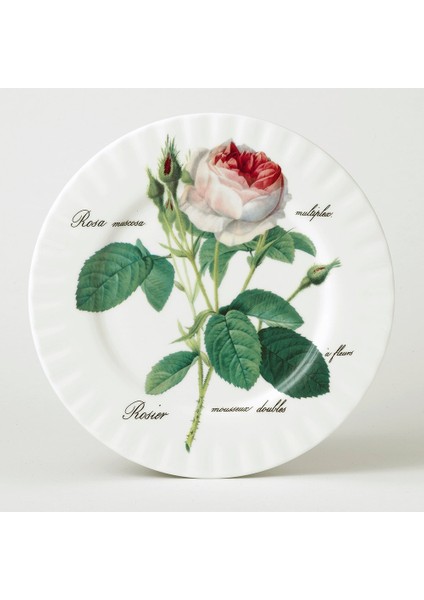 Redoute Rose Servis Tabak 27CM-TEKLI