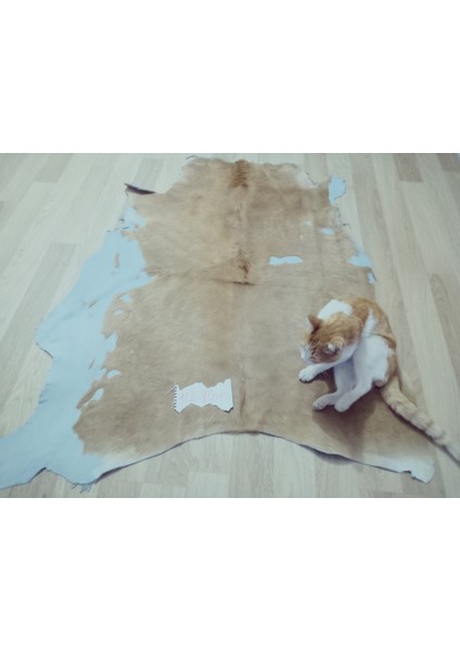 Doğal Işlenmemiş Hakiki Derisi Dana Postu Halı Yolluk indirimleri