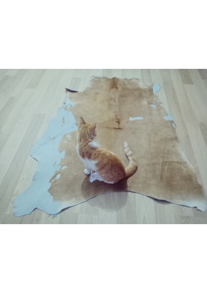 Doğal Işlenmemiş Hakiki Derisi Dana Postu Halı Yolluk