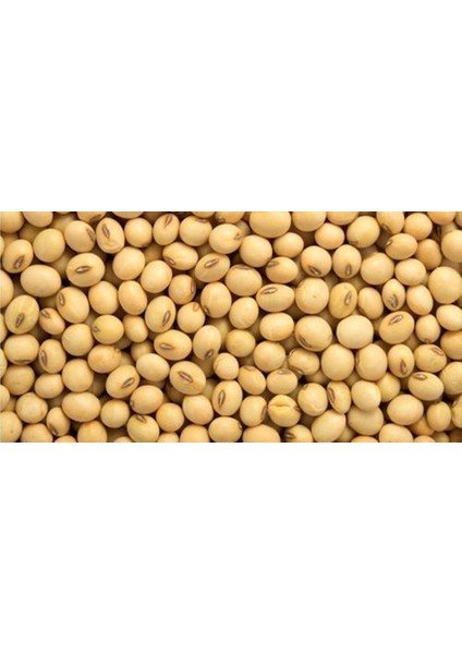 Dökme Bakliyat Soya Fasulyesi - 1 kg