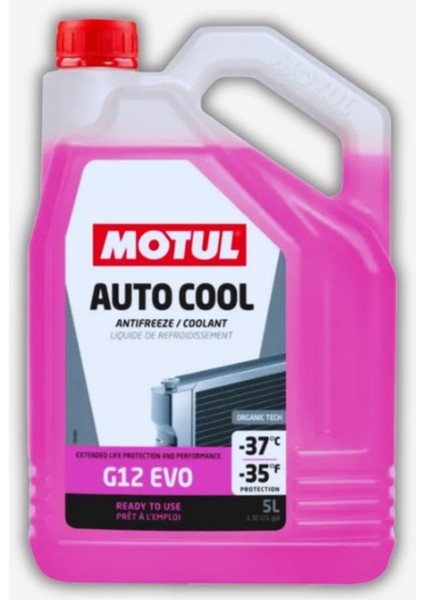 Auto Cool G12 Evo -37°c 1 Lt. Antifriz