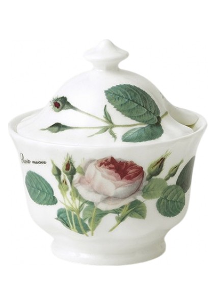 Redoute Rose Kapaklı Şekerlik