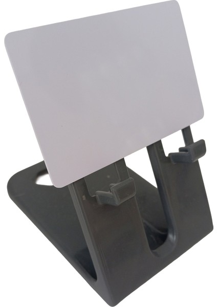 Sr 622 Temic T5557 Yazılabilir Kart (Proximity 125 Khz)