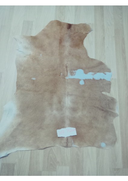 Doğal Işlenmemiş Hakiki Derisi Dana Postu Halı Yolluk modelleri