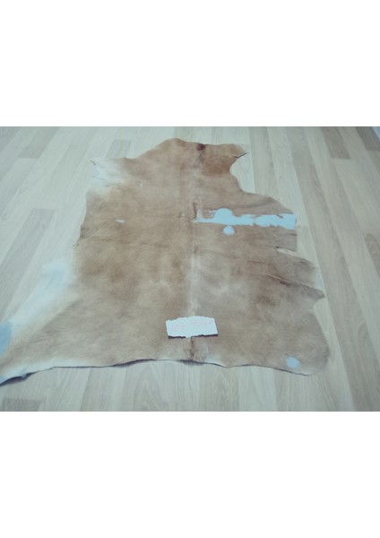 Doğal Işlenmemiş Hakiki Derisi Dana Postu Halı Yolluk indirimleri