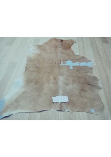 Doğal Işlenmemiş Hakiki Derisi Dana Postu Halı Yolluk