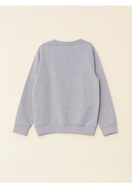 Lcw Kids Gri Bisiklet Yaka Baskılı Uzun Kollu Erkek Çocuk Sweatshirt fiyatları