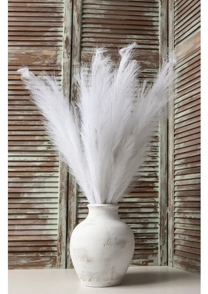10’lu Beyaz Pampas Çiçeği 70 cm