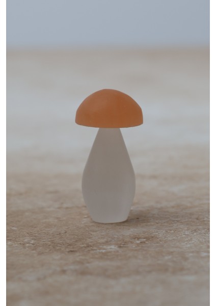 Selenit Doğal Taş Mantar fiyatları