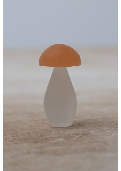 Selenit Doğal Taş Mantar modelleri