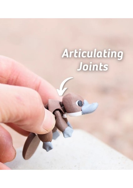 Modelerman Plodding Platypus – Kahverengi/gri Renkli 3D Baskı Hareketli Ornitorenk Figür, Eklemli Fidget Oyuncak, Koleksiyonluk Masaüstü Dekor, Çocuklar Için Eğlenceli Oyuncak & Anahtarlık fiyatları