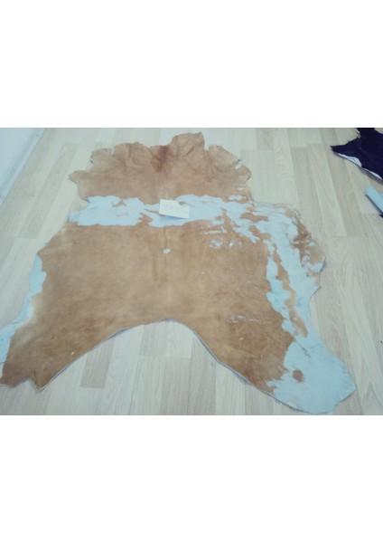 Doğal Işlenmemiş Hakiki Derisi Dana Postu Halı Yolluk fırsatları