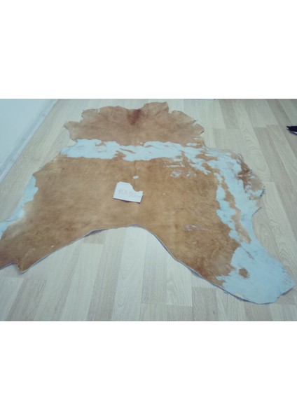 Doğal Işlenmemiş Hakiki Derisi Dana Postu Halı Yolluk