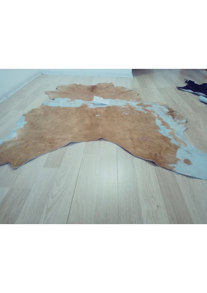 Doğal Işlenmemiş Hakiki Derisi Dana Postu Halı Yolluk