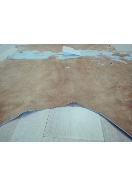 Doğal Işlenmemiş Hakiki Derisi Dana Postu Halı Yolluk