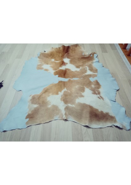 Doğal Işlenmemiş Hakiki Derisi Dana Postu Halı Yolluk modelleri