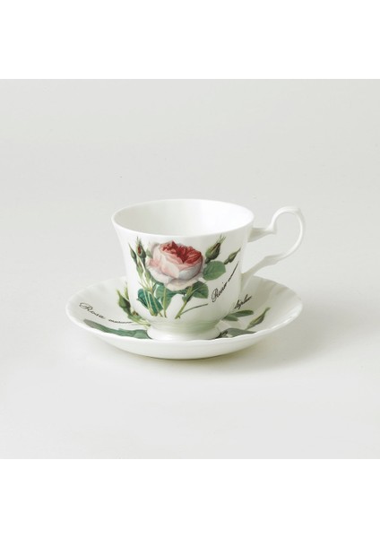Redoute Rose Çay Fincan ve Tabak-Tekli