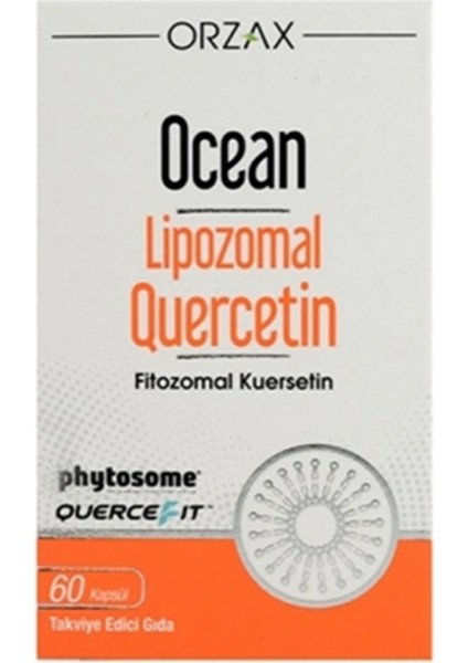 Liposomal Quercetin 100 Mg 60 Kapsül