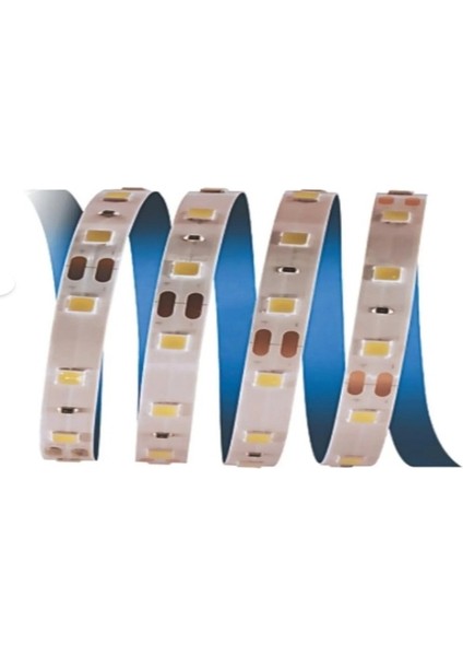 CT-4480 10 Çip Beyaz Iç Mekan Şerit LED 5m