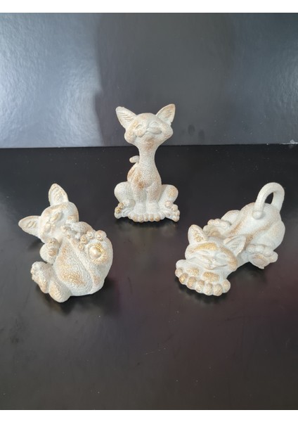 Kedi Biblo 3'lü fiyatları