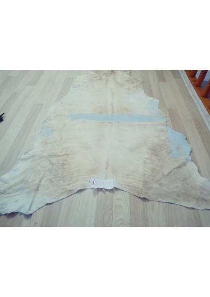 Doğal Işlenmemiş Hakiki Derisi Dana Postu Halı Yolluk indirimleri