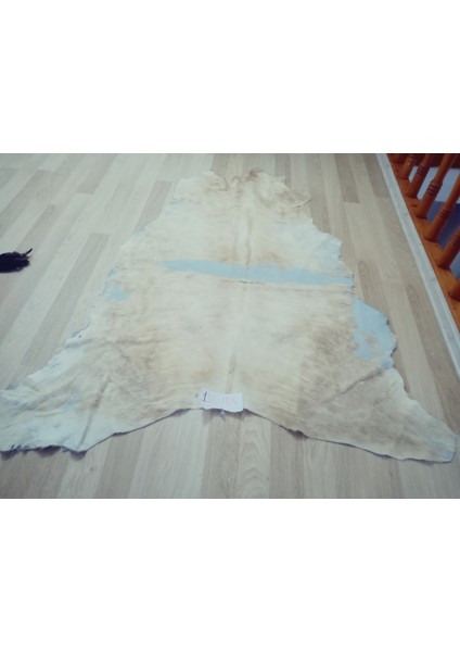 Doğal Işlenmemiş Hakiki Derisi Dana Postu Halı Yolluk