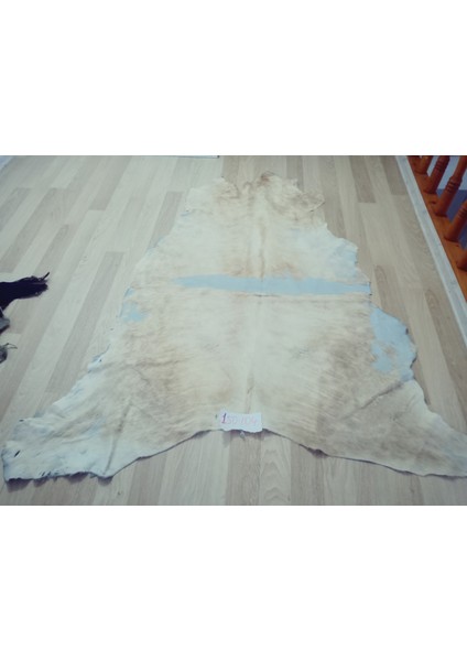 Doğal Işlenmemiş Hakiki Derisi Dana Postu Halı Yolluk