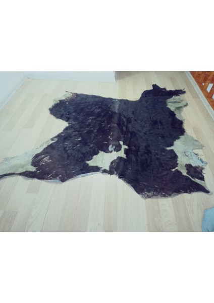 Doğal Işlenmemiş Hakiki Derisi Dana Postu Halı Yolluk