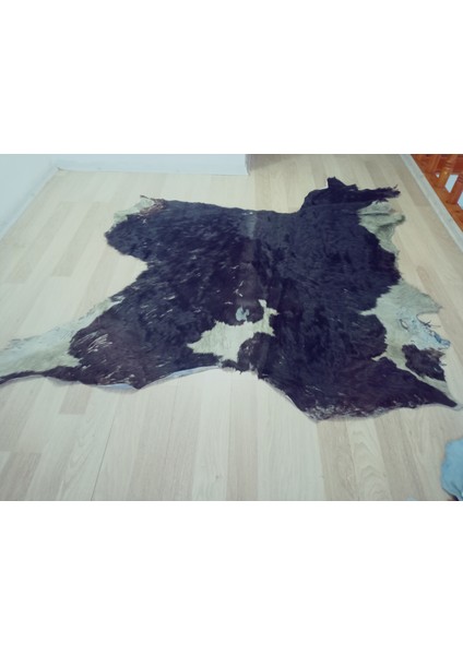 Doğal Işlenmemiş Hakiki Derisi Dana Postu Halı Yolluk fırsatları