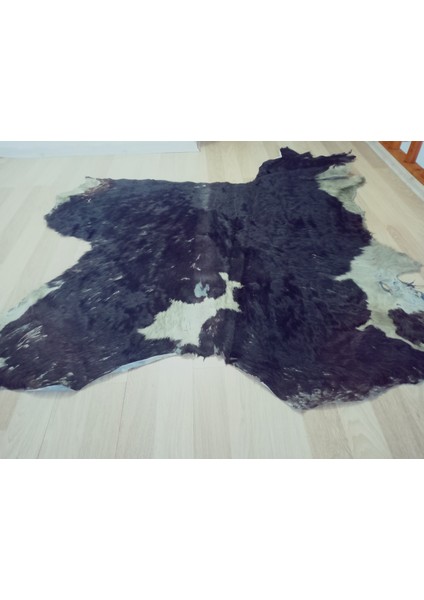 Doğal Işlenmemiş Hakiki Derisi Dana Postu Halı Yolluk